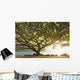 Hawaii Kauai Hanalei Bay Wall Decal 2