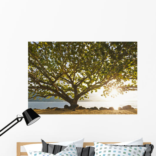 Hawaii Kauai Hanalei Bay Wall Decal 2