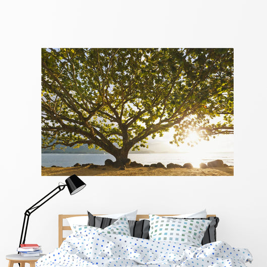 Hawaii Kauai Hanalei Bay Wall Decal 2