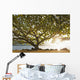 Hawaii Kauai Hanalei Bay Wall Decal 2