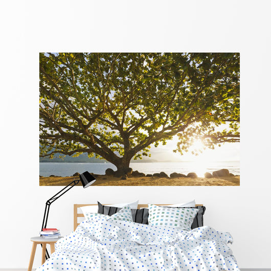 Hawaii Kauai Hanalei Bay Wall Decal 2