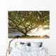 Hawaii Kauai Hanalei Bay Wall Decal 2