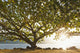 Hawaii Kauai Hanalei Bay Wall Decal 2
