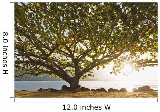Hawaii Kauai Hanalei Bay Wall Decal 2