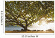 Hawaii Kauai Hanalei Bay Wall Decal 2