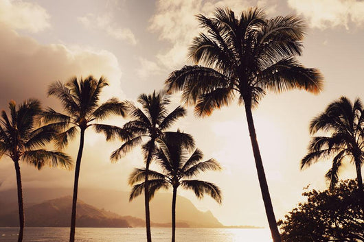 Hawaii Kauai Hanalei Bay Wall Decal 1