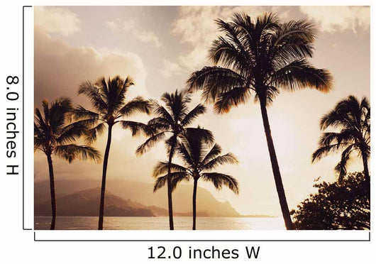 Hawaii Kauai Hanalei Bay Wall Decal 1