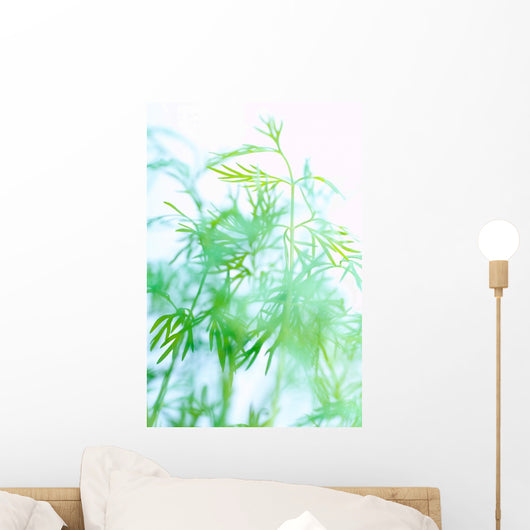 Herbs Wall Mural