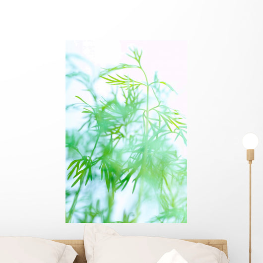 Herbs Wall Mural