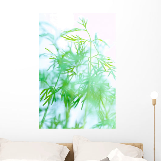 Herbs Wall Mural