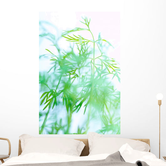 Herbs Wall Mural