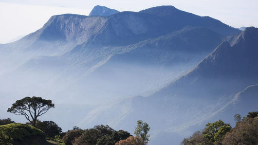 Sunrise over Western Ghats Wall Decal