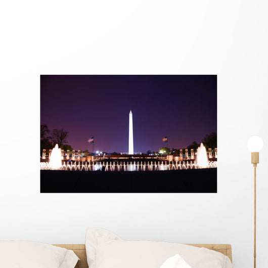 Washington DC. Wall Mural