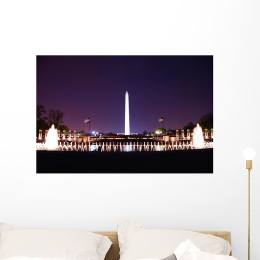 Washington DC. Wall Mural