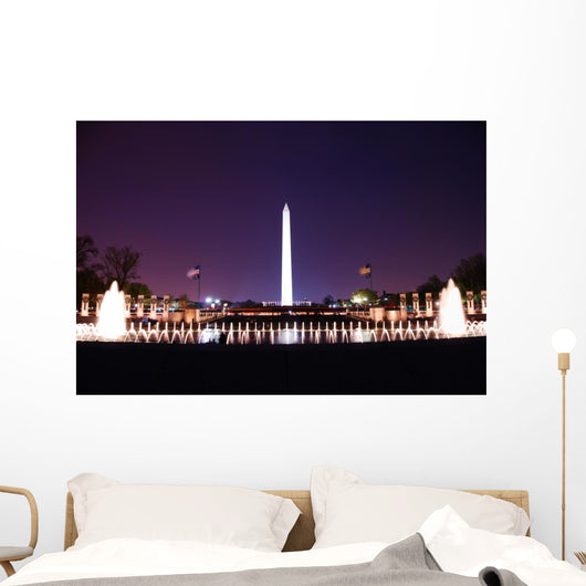Washington DC. Wall Mural