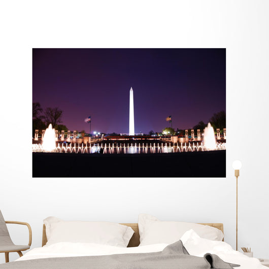 Washington DC. Wall Mural