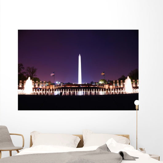 Washington DC. Wall Mural