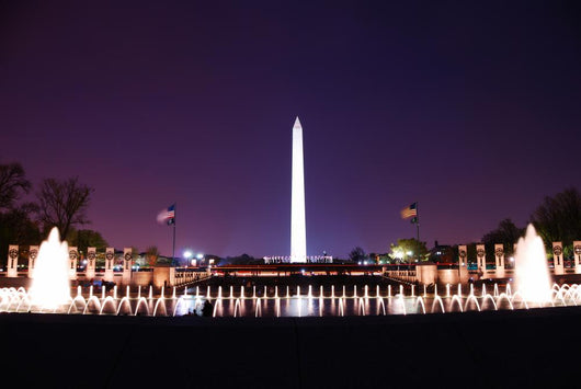 Washington DC. Wall Mural