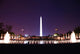 Washington DC. Wall Mural