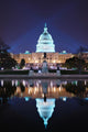 Washington DC Wall Mural