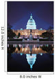 Washington DC Wall Mural