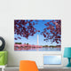 Washington DC Cherry Blossom Wall Mural