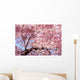 cherry blossom background Wall Mural