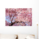 cherry blossom background Wall Mural