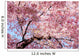 cherry blossom background Wall Mural