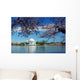 Cherry Blossom Washington DC Wall Mural