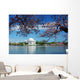 Cherry Blossom Washington DC Wall Mural