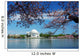 Cherry Blossom Washington DC Wall Mural