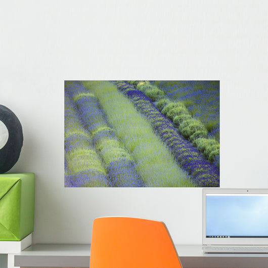 Rows Different Lavender Plants Wall Decal