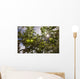 Organic Apples Ripen under Wall Decal