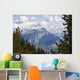 Rugged Mountain Peak Banff Wall Decal