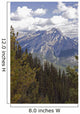 Rugged Canadian Rocky Mountains Wall Decal