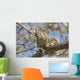 Squirrel Tree Edmonton Alberta Wall Decal