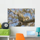 Squirrel Tree Edmonton Alberta Wall Decal