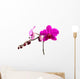 Magenta Orchid Wall Decal