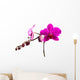Magenta Orchid Wall Decal