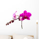 Magenta Orchid Wall Decal