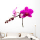 Magenta Orchid Wall Decal
