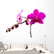 Magenta Orchid Wall Decal