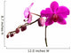 Magenta Orchid Wall Decal