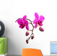 Orchidee