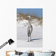Blue Heron Sand Gulf Wall Decal