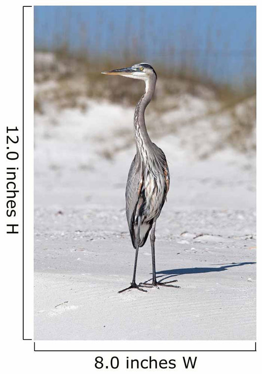 Blue Heron Sand Gulf Wall Decal