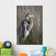 Blue Heron Gulf Shores Wall Decal