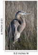 Blue Heron Gulf Shores Wall Decal