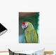 Up Parrot Puerto Vallarta Wall Decal